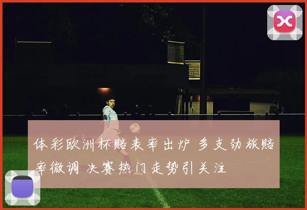 体彩欧洲杯赔表率出炉 多支劲旅赔率微调 决赛热门走势引关注