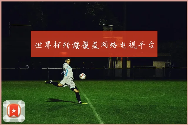 世界杯转播覆盖网络电视平台