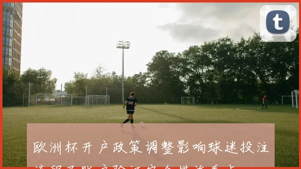 欧洲杯开户政策调整影响球迷投注流程及账户验证安全措施看点