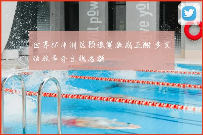 世界杯非洲区预选赛激战正酣 多支劲旅争夺出线名额