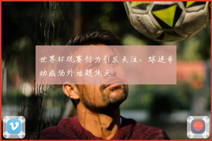 世界杯观赛行为引发关注,球迷举动成场外话题焦点