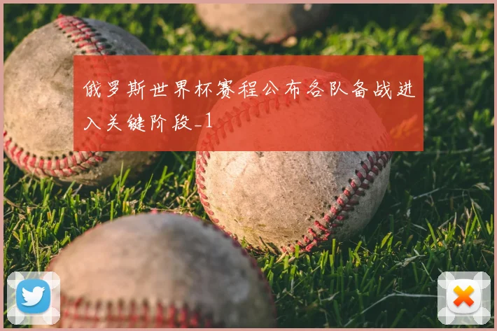 俄罗斯世界杯赛程公布各队备战进入关键阶段_1