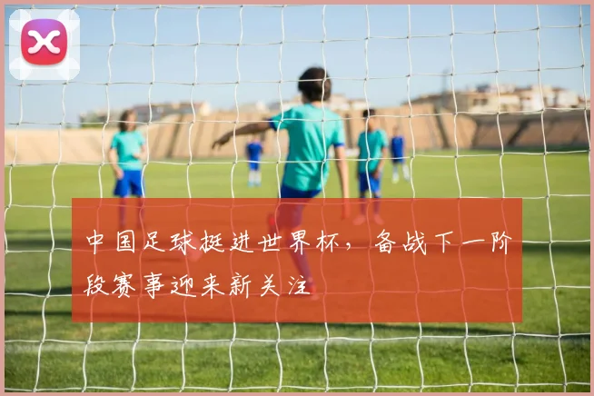 中国足球挺进世界杯，备战下一阶段赛事迎来新关注