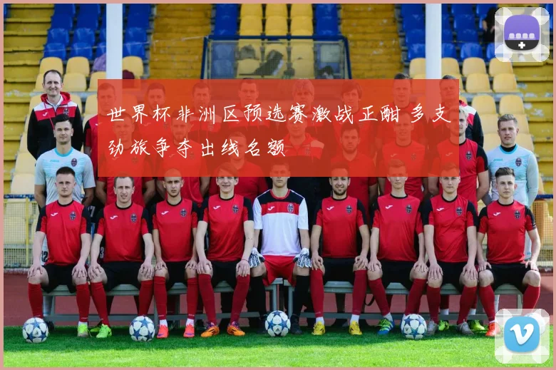 世界杯非洲区预选赛激战正酣 多支劲旅争夺出线名额