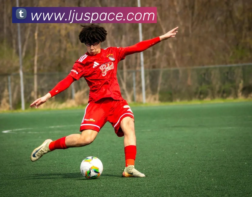 开云手机入口登录官网平台生态图